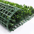 Sample Panel – White Flowering Boxwood Green Wall (Small Sample) by Designer Plants USA