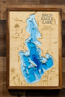 Bald Eagle (Ramsey)