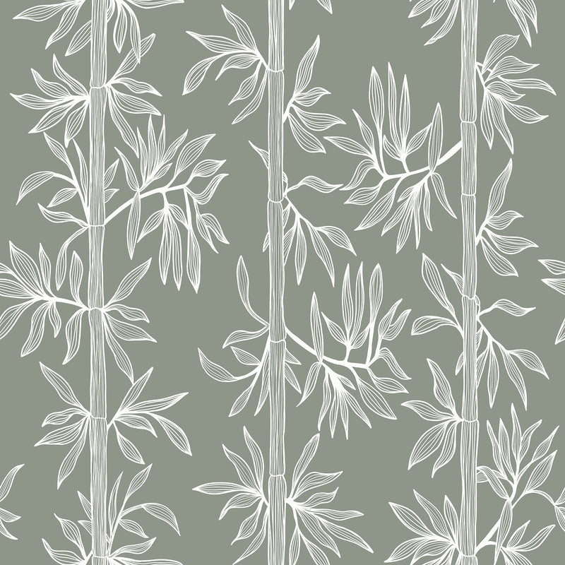 Bamboo Breeze Wallpaper – Peel and Stick Modern Botanical