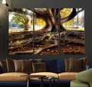 Banyan Tree Canvas Wall Art Print - Majestic Roots and by MyGreatCanvas | Canvas Wall Art Prints | Photo Prints & Wall Decor