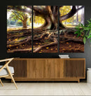 Banyan Tree Canvas Wall Art Print - Majestic Roots and by MyGreatCanvas | Canvas Wall Art Prints | Photo Prints & Wall Decor