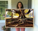 Banyan Tree Canvas Wall Art Print - Majestic Roots and by MyGreatCanvas | Canvas Wall Art Prints | Photo Prints & Wall Decor