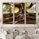 Banyan Tree Canvas Wall Art Print - Majestic Roots and by MyGreatCanvas | Canvas Wall Art Prints | Photo Prints & Wall Decor