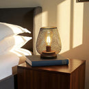 Set of 2 Metal Cage LED Battery Powered Lamp