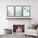 California Coastal Set of 3 Prints. Lifeguard, Surfers, Palms by Wall Art Set