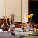 Beak Set of 2 Glasses by NUDE USA
