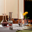 Beak Carafe