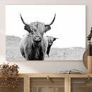 Beautiful Highland Cow Canvas Wall Art, Framed Highland Cow