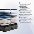 Black Series Two Medium Pillow Top