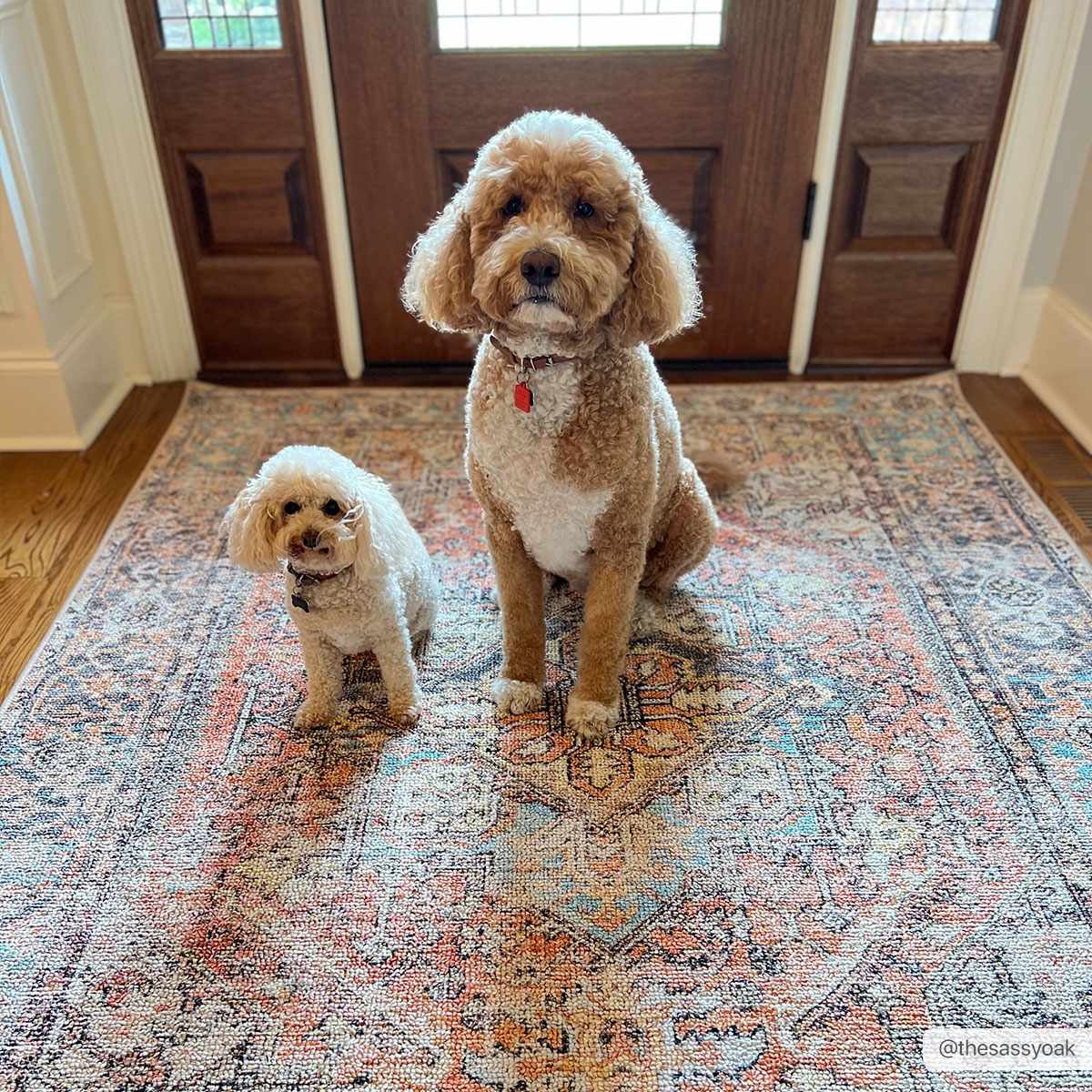 Beck Peach Washable Area Rug, photo 2 of 21