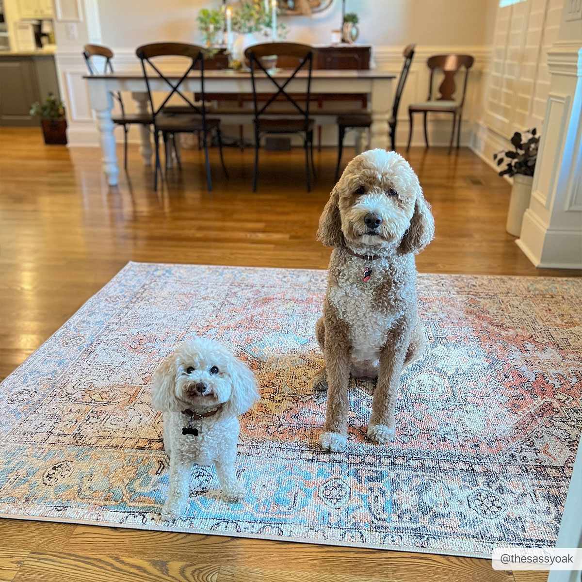 Beck Peach Washable Area Rug, photo 4 of 21