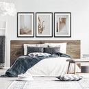 3 Piece Boho Architectural Wall Art. Eucalyptus, Stairway by Wall Art Set