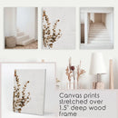 3 Piece Boho Architectural Wall Art. Eucalyptus, Stairway by Wall Art Set
