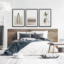 Beige Tones Coastal Wall Art. Surfboard, Ocean Beach, Palm by Wall Art Set