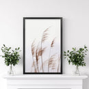 Beige Dried Grass Print. Summer Field by Wall Art Set