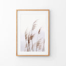 Beige Dried Grass Print. Summer Field by Wall Art Set