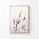 Beige Dried Grass Print. Summer Field by Wall Art Set