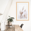 Beige Dried Grass Print. Summer Field by Wall Art Set