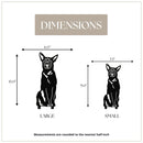 Belgian Malinois