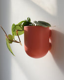 Bender Wall Planter