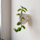 Bender Wall Planter
