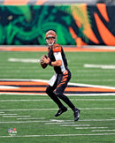Joe Burrow in Action Cincinnati Bengals 8" x 10" Football Photo by Dynasty Sports & Framing