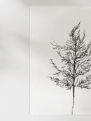 Berry Stem