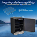 24 Inches Beverage Refrigerator with Removable Shelves and Adjustable Temperature-Silver by LJGDeals