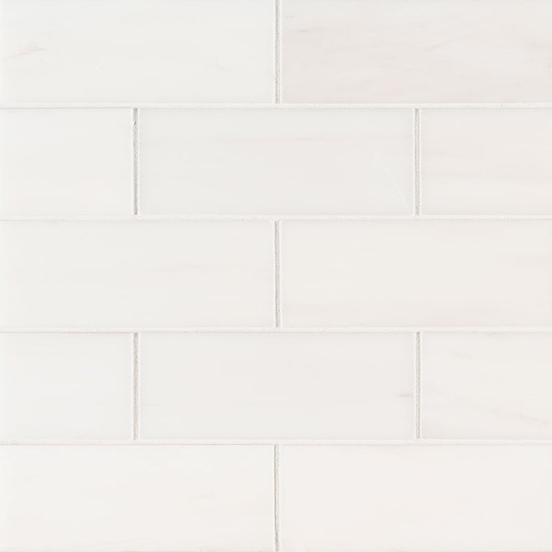 MSI Bianco Dolomite Polished Marble Subway Wall And Floor Tile