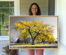 Big Yellow Tree Canvas Wall Art Print Black White Yellow Art by MyGreatCanvas | Canvas Wall Art Prints | Photo Prints & Wall Decor