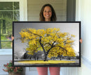 Big Yellow Tree Canvas Wall Art Print Black White Yellow Art by MyGreatCanvas | Canvas Wall Art Prints | Photo Prints & Wall Decor