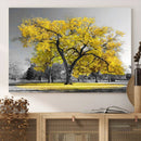 Big Yellow Tree Canvas Wall Art Print Black White Yellow Art by MyGreatCanvas | Canvas Wall Art Prints | Photo Prints & Wall Decor