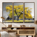 Big Yellow Tree Canvas Wall Art Print Black White Yellow Art by MyGreatCanvas | Canvas Wall Art Prints | Photo Prints & Wall Decor