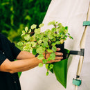 Bijou Bloom Hanging Planters by Bijou Build