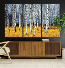 Birch Trees Wall Art Print, Wall Art Landscape Canvas Print by MyGreatCanvas | Canvas Wall Art Prints | Photo Prints & Wall Decor