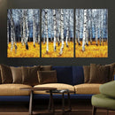 Birch Trees Wall Art Print, Wall Art Landscape Canvas Print by MyGreatCanvas | Canvas Wall Art Prints | Photo Prints & Wall Decor