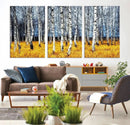 Birch Trees Wall Art Print, Wall Art Landscape Canvas Print by MyGreatCanvas | Canvas Wall Art Prints | Photo Prints & Wall Decor