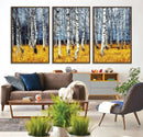 Birch Trees Wall Art Print, Wall Art Landscape Canvas Print by MyGreatCanvas | Canvas Wall Art Prints | Photo Prints & Wall Decor