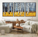 Birch Trees Wall Art Print, Wall Art Landscape Canvas Print by MyGreatCanvas | Canvas Wall Art Prints | Photo Prints & Wall Decor