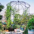 Birdcage Shape Gazebo for Climbing Plants and Wedding Ceremony Decoration by DirectDeals