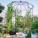 Birdcage Shape Gazebo for Climbing Plants and Wedding Ceremony Decoration by LJGDeals