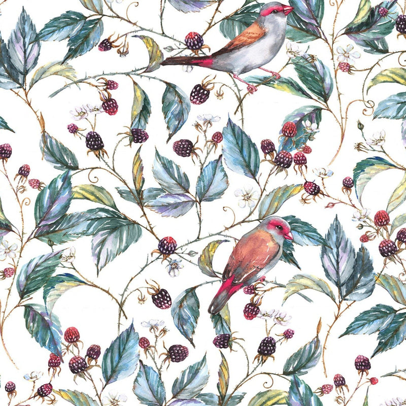 Bird and berry Wallpaper