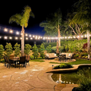 SL101 3000K Warm White LED Low Voltage Bistro String Lights 48 FT Outdoor Weatherproof 12V Edison Bulbs by Kings Outdoor Lighting