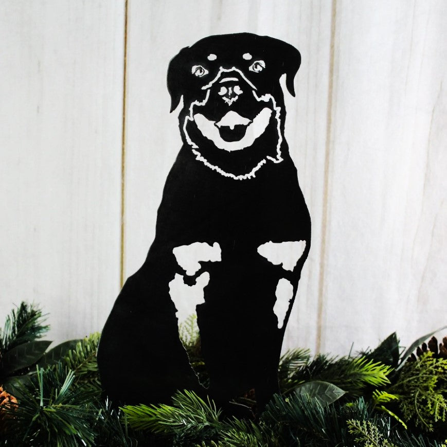 Rottweiler, photo 10 of 14
