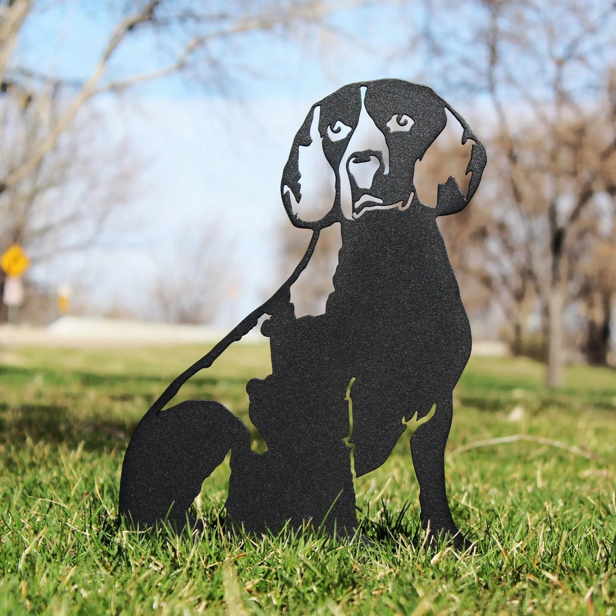 Beagle, photo 2 of 17