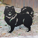 Japanese Spitz