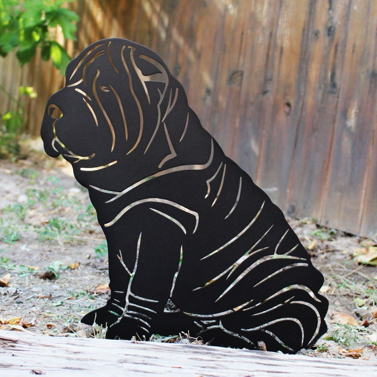Shar Pei, photo 2 of 13