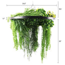 Artificial Hanging Plant Chandelier – Draping Fern Circular Ring (31.5in) Black Frame – UV Resistant by Designer Plants USA