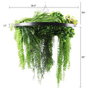 Artificial Hanging Plant Chandelier – Draping Fern Circular Ring (31.5in) Black Frame – UV Resistant