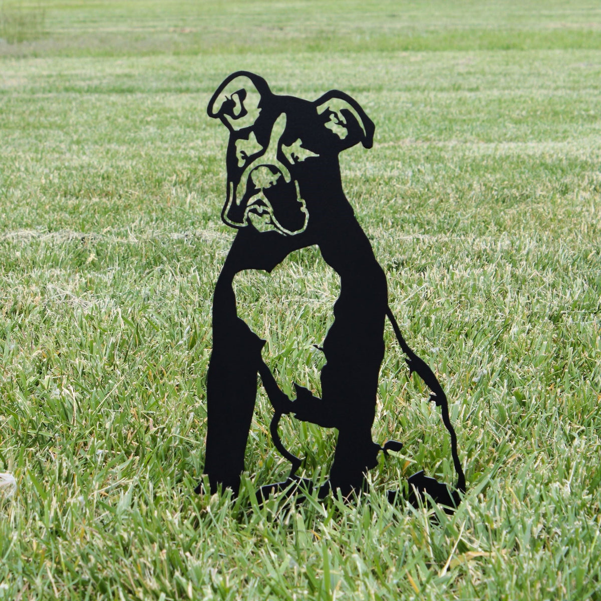 Boxer, photo 2 of 16